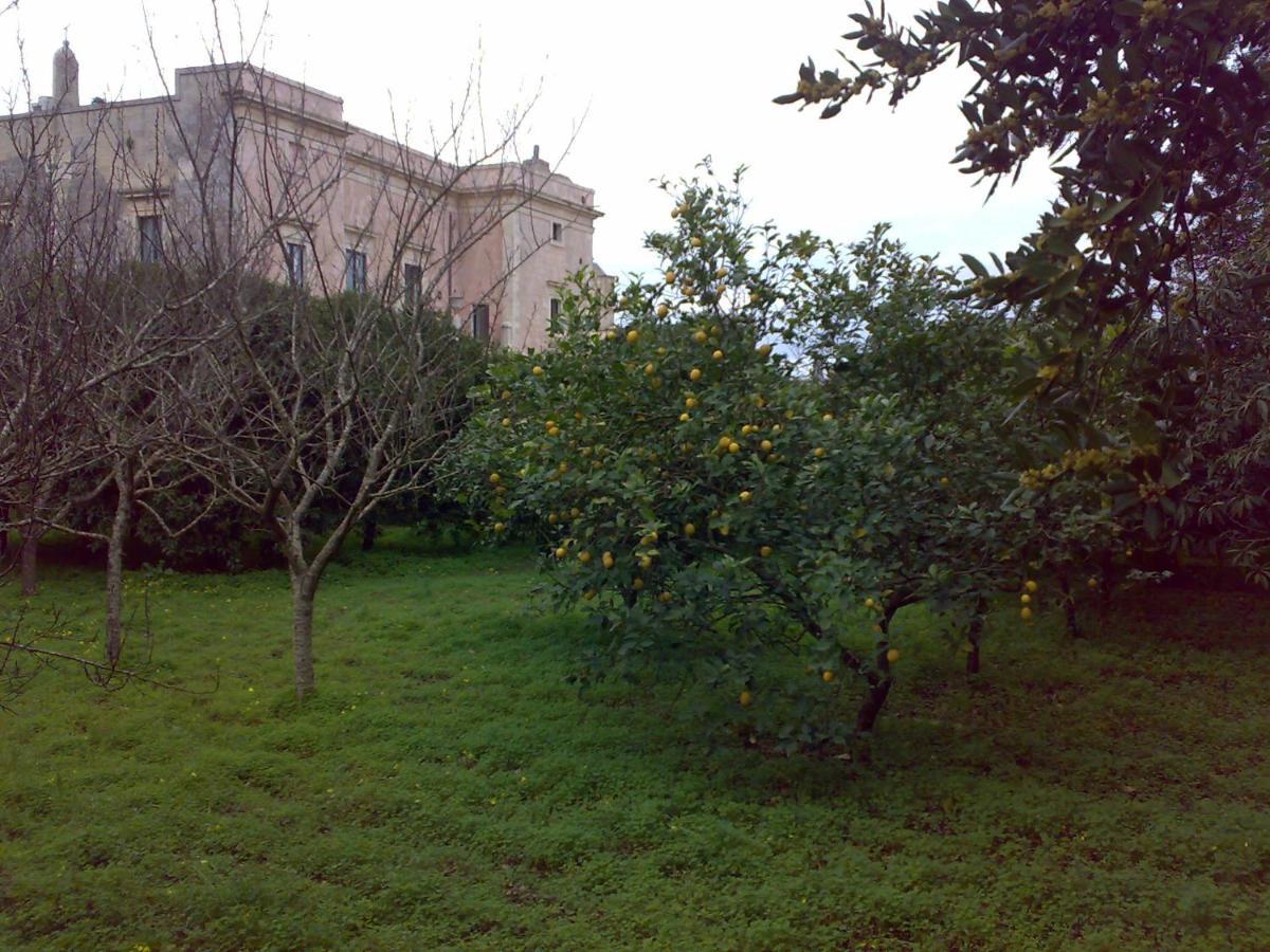 Aricelle Speziali Acomodação com café da manhã Specchia Gallone Exterior foto